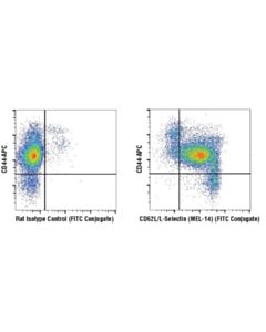 Cell Signaling Cd62l/L-Selectin (Mel-14) Rat mAb (Fitc Conjugate)