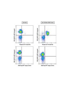 Cell Signaling Phospho-Slp-76 (Ser376) (E3g9u) Xp Rabbit mAb