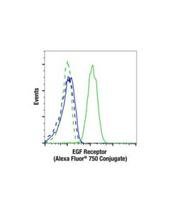 Cell Signaling Egf Receptor (D38b1) Xp ® Rabbit mAb (Alexa Fluor ® 750 Conjugate)