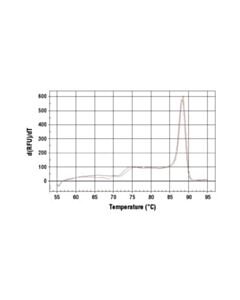 Cell Signaling Simplechip Human Slc19a2 Promoter Primers