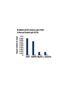 Cell Signaling Sin3a (D1b7) Rabbit mAb