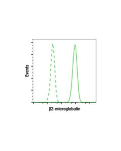 Cell Signaling Beta2-Microglobulin (E8g2o) Rabbit mAb (BSA And Azide Free)