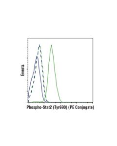 Cell Signaling Phospho-Stat2 (Tyr690) (D3p2p) Rabbit mAb (PE Conjugate)