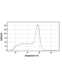 Cell Signaling Simplechip Human Pabpc1 Exon 1 Primers