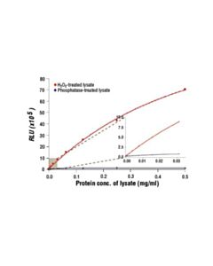 Cell Signaling Pathscan Phospho-Ampkalpha (Thr172) Chemiluminescent Sandwich Elisa Kit