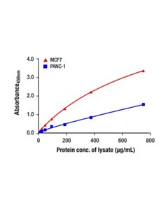 Cell Signaling Total BCKDH-E1α Matched Antibody Pair; 1 Kit