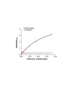 Cell Signaling Pathscan Phospho-Pdgf Receptor Beta (Tyr751) Sandwich ELISA Antibody Pair