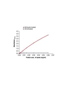 Cell Signaling Pathscan Phospho-4e-Bp1 (Thr37/Thr46) Sandwich ELISA Antibody Pair