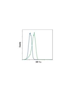 Cell Signaling Hif-1alpha (D5f3m) Mouse mAb