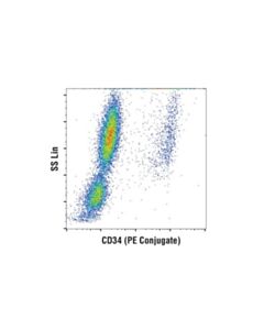 Cell Signaling Cd34 (Ico115) Mouse mAb (PE Conjugate)