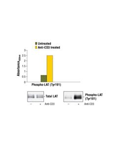 Cell Signaling Pathscan Phospho-Lat (Tyr220) Sandwich ELISA Kit