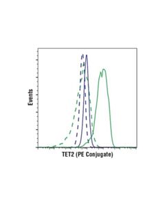 Cell Signaling Tet2 (D6c7k) Rabbit mAb (Mouse Specific) (PE Conjugate)