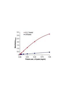 Cell Signaling Pathscan Phospho-Src (Tyr416) Sandwich Elisa Kit