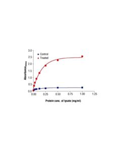 Cell Signaling Pathscan Phospho-Rsk1 (Ser380) Sandwich Elisa Kit