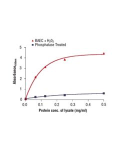 Cell Signaling Pathscan Phospho-Enos (Ser1177) Sandwich Elisa Kit