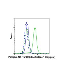 Cell Signaling Phospho-Akt (Thr308) (D25e6) Xp ® Rabbit mAb (Pacific Blue ™ Conjugate)