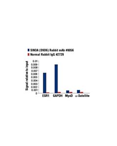 Cell Signaling Sin3a (D9d6) Rabbit mAb