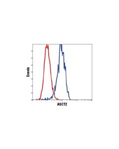 Cell Signaling Asct2 (D7c12) Rabbit mAb