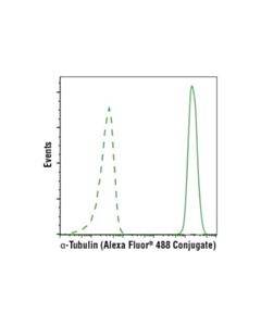 Cell Signaling Alpha-Tubulin (Dm1a) Mouse mAb (Alexa Fluor 488 Conjugate)