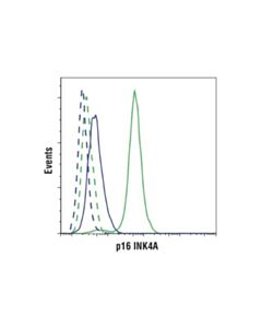 Cell Signaling P16 Ink4a (D7c1m) Rabbit mAb
