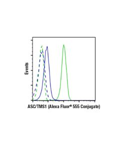 Cell Signaling Asc/Tms1 (D2w8u) Rabbit mAb (Alexa Fluor® 555 Conjugate)