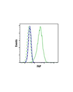 Cell Signaling FAP (F1A4G) Rabbit mAb (BSA and Azide Free) 100 ug