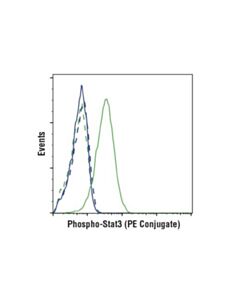 Cell Signaling Phospho-Stat3 (Tyr705) (D3a7) Xp Rabbit mAb (PE Conjugate)