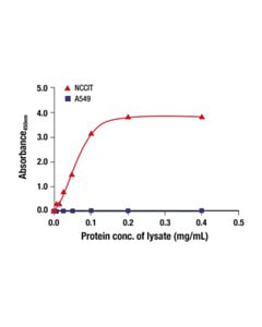 Cell Signaling Total BRG1 Matched Antibody Pair 1 Kit