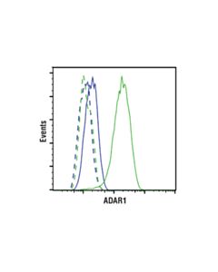 Cell Signaling Adar1 (E6x9r) Xp Rabbit mAb