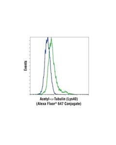 Cell Signaling Acetyl-Alpha-Tubulin (Lys40) (D20g3) Xp Rabbit mAb (Alexa Fluor 647 Conjugate)