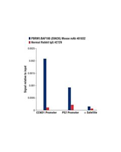 Cell Signaling Pbrm1/Baf180 (E6n2k) Mouse mAb