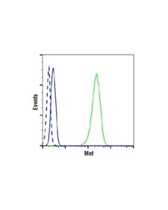 Cell Signaling Met (D1c2) Xp<LT/>Sup&Gt;®<LT/>/Sup&Gt; Rabbit mAb