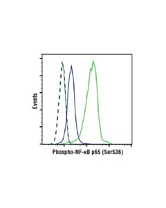 Cell Signaling Phosphoplus Nf-Kappab P65/Rela (Ser536) Antibody Duet
