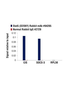Cell Signaling Phosphoplus Stat5 (Tyr694) Antibody Duet