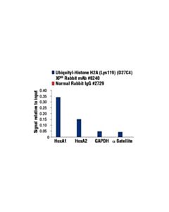 Cell Signaling Ubiquityl-Histone H2a (Lys119) (D27c4) Xp Rabbit mAb