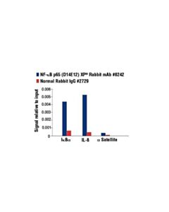 Cell Signaling Nf-Kappab P65 (D14e12) Xp Rabbit mAb