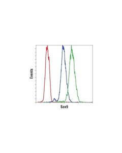 Cell Signaling Sox9 (D8g8h) Rabbit mAb