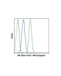 Cell Signaling Btk (D3h5) Rabbit mAb (Alexa Fluor 488 Conjugate)