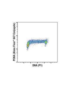 Cell Signaling Pcna (D3h8p) Xp Rabbit mAb (Alexa Fluor 647 Conjugate)