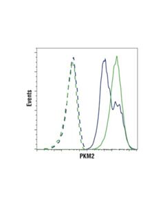 Cell Signaling Glycolysis Antibody Sampler Kit