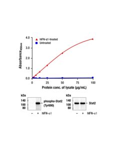 Cell Signaling Pathscan ® RP Phospho-Stat2 (Tyr690) Sandwich ELISA Kit