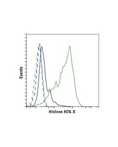 Cell Signaling UV Induced Dna Damage Response Antibody Sampler Kit