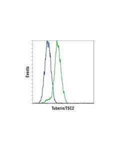 Cell Signaling Phospho-Tsc2 Antibody Sampler Kit