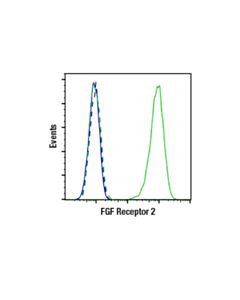 Cell Signaling Fgf Receptor 2 (D4l2v) Rabbit mAb (Bsa And Azide Free)