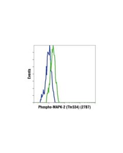 Cell Signaling Stress And Apoptosis Antibody Sampler Kit