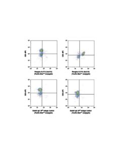 Cell Signaling Phospho-Slp-76 (Ser376) (D7s1k) Rabbit mAb (Pacific Blue Conjugate)