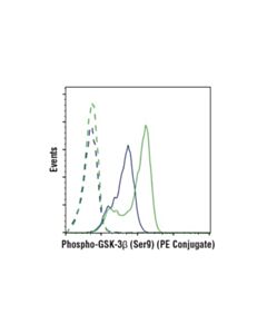 Cell Signaling Phospho-Gsk-3beta (Ser9) (D85e12) Xp Rabbit mAb (PE Conjugate)
