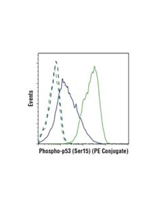 Cell Signaling Phospho-P53 (Ser15) (16g8) Mouse mAb (PE Conjugate)