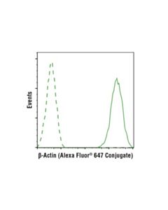 Cell Signaling Beta-Actin (13e5) Rabbit mAb (Alexa Fluor 647 Conjugate)