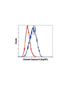 Cell Signaling Cleaved Caspase-8 (Asp387) (D5b2) Xp Rabbit mAb (Mouse Specific)